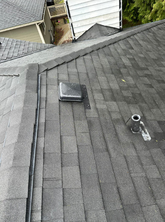 Schedule a Roof Inspection Before Problems Start