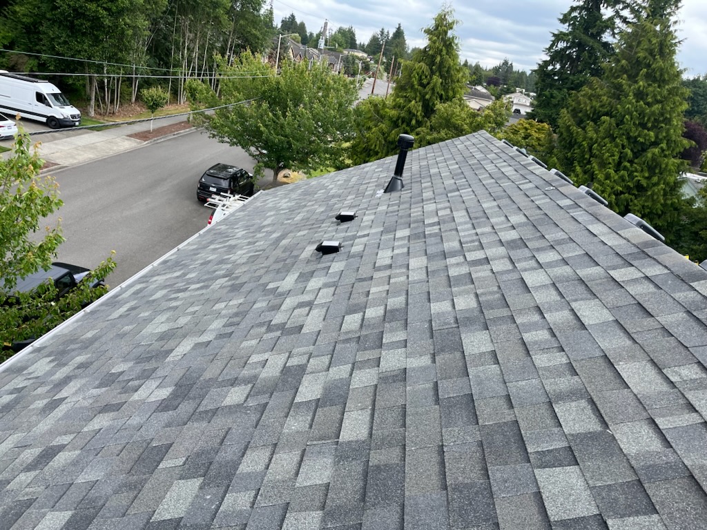 Why Asphalt Shingles Remain the Most Popular Roof